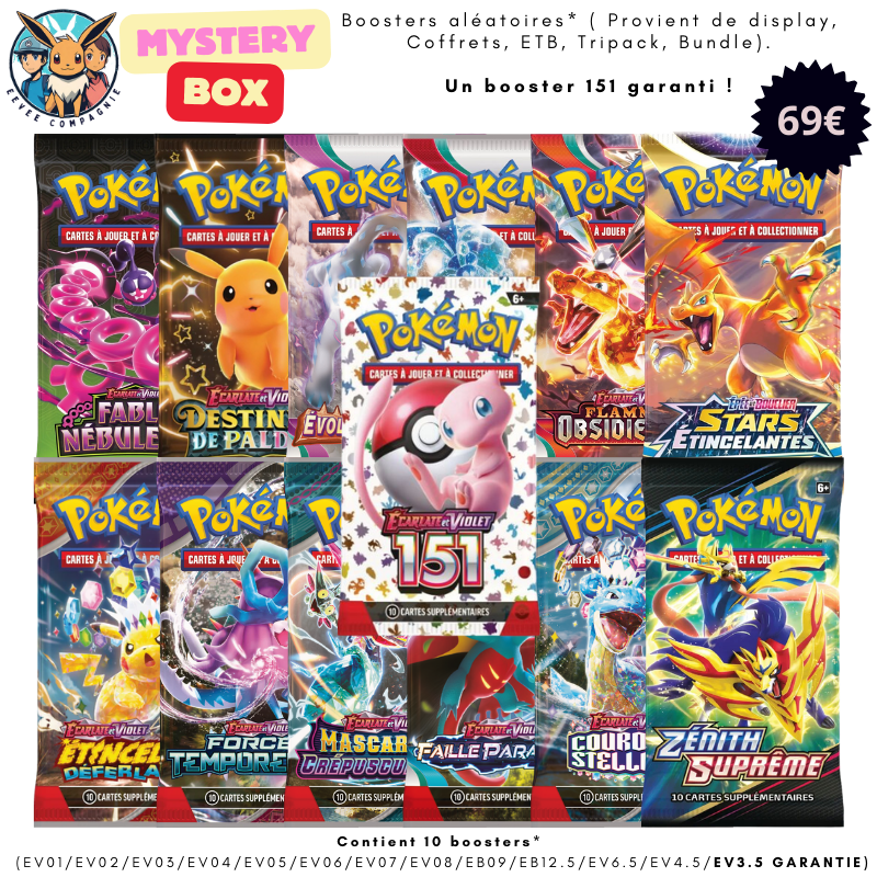 Mystery Box 151 - Pokemon / Eevee Compagnie